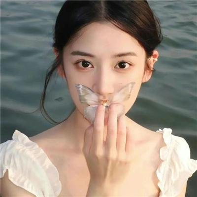 齐姆与友